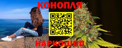 СК Новокубанск