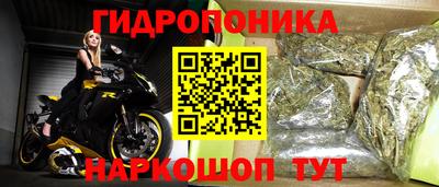 СК Новокубанск