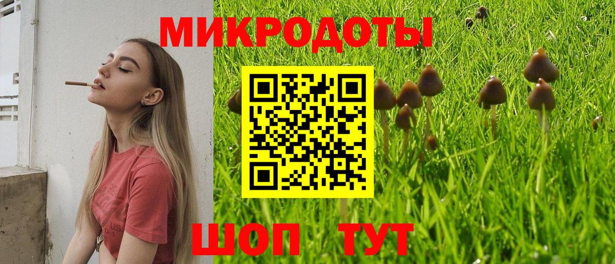 Сургут  Псилоцибиновые грибы GOLDEN TEACHER  Вход с VPN 