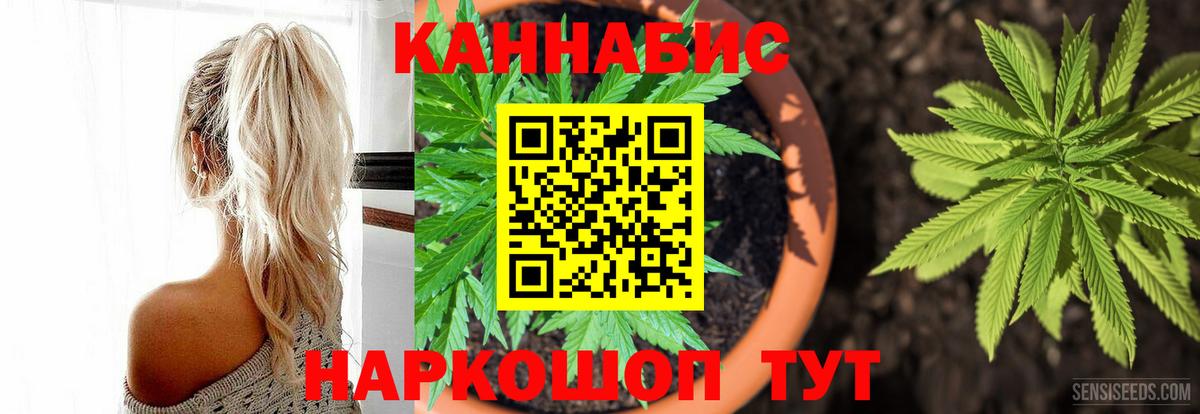 Каннабис марихуана Сургут